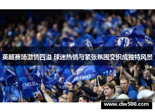 英超赛场激情四溢 球迷热情与紧张氛围交织成独特风景